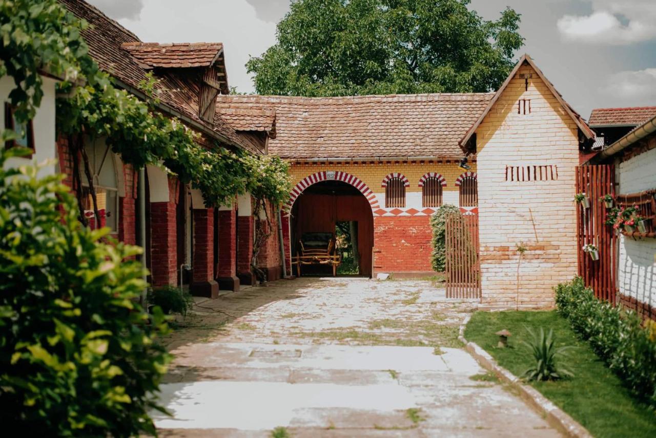 Kuca Za Odmor "Sokacka Lady" Villa Zupanja Exterior photo